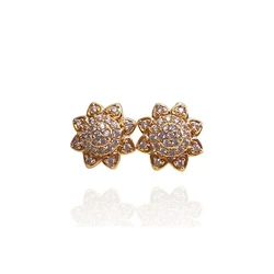 Stone Earrings Women