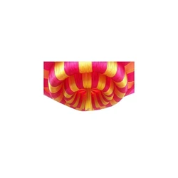 Wedding Ceiling Tent