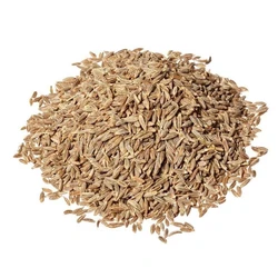 Brown Cumin Seeds — Healthy good quality natural