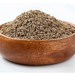 Fresh Cumin Seeds — Single herbs spices dried