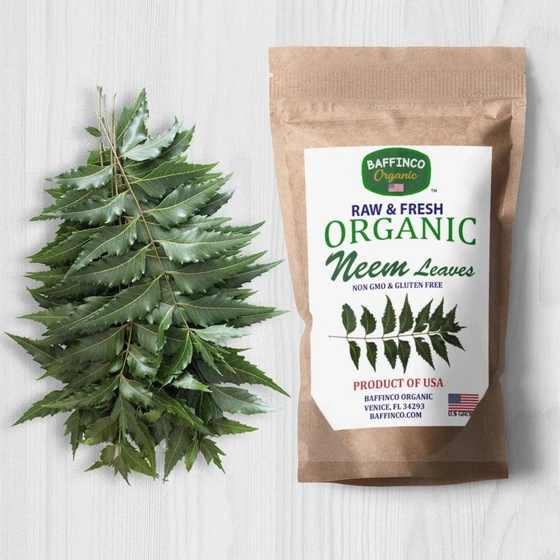 organic-neem-leaves-2.webp