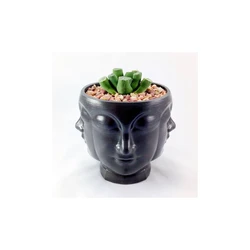 Stylish flower pot