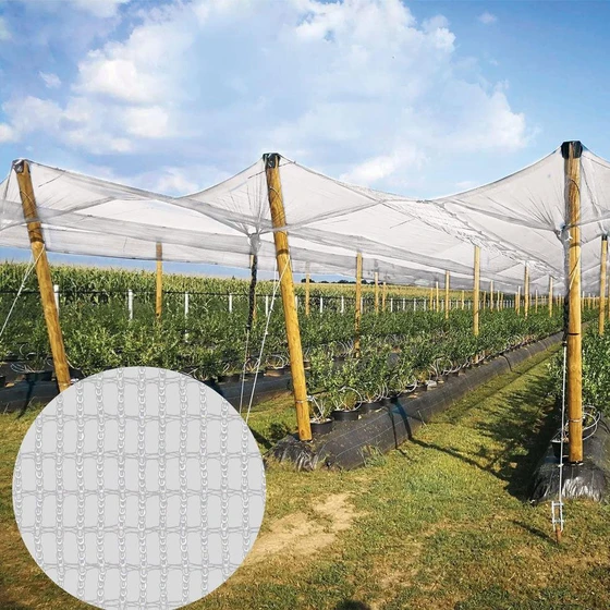 polyethylene-anti-hail-nets-2.webp