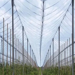 Polyethylene Anti Hail Nets