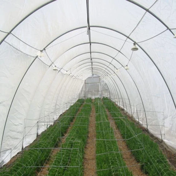 ldpe-anti-insect-nets-2.webp