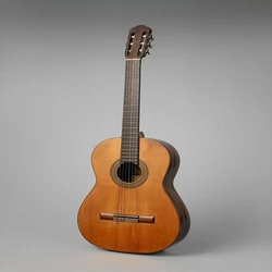 Spanish Wood Guitar