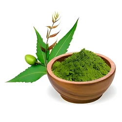 Organic Neem Powder