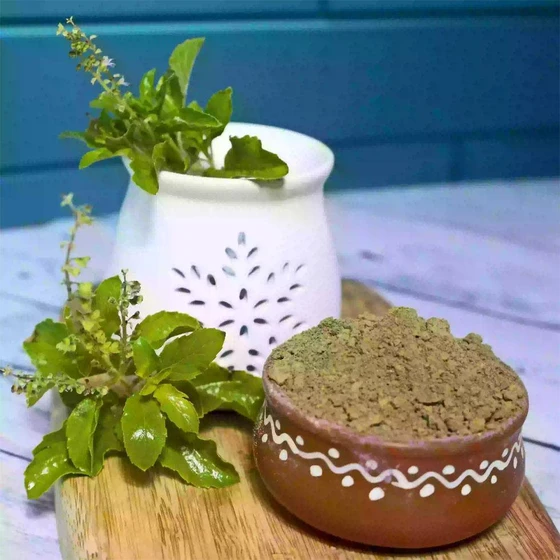 organic-tulsi-powder-2.webp
