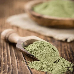 Organic Stevia Powder