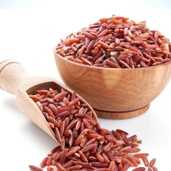 Organic Red Rice — Human consumption glutien free