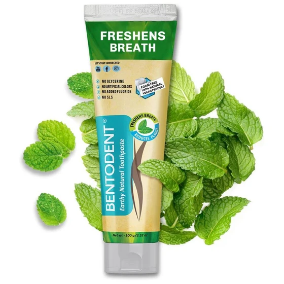 mint-ayurvedic-toothpaste-2.webp