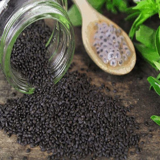 holy-basil-seeds-2.webp