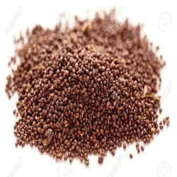 Brown Basil Seeds