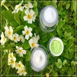 Cosmetic Organic Products