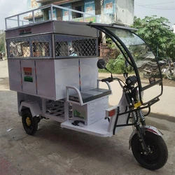 Electric Rickshaw Tricycle