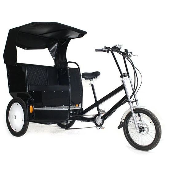 rickshaw-electric-bike-2.webp