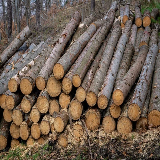 pine-wood-log-2.webp