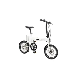 Modern Kids Folding Bike