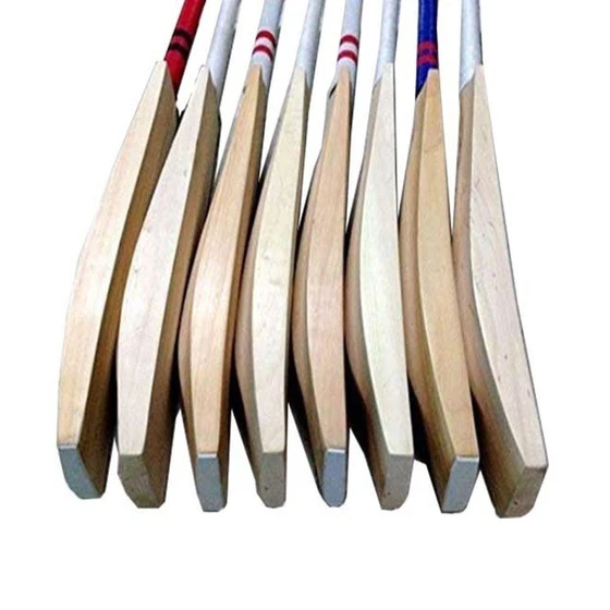 gold-leather-cricket-bat-2.webp