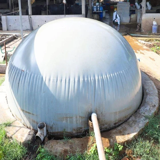 flexible-balloon-biogas-plant-2.webp