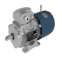 Electric Rotomotive Motor