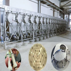 Hydrocyclone Starch Washing System