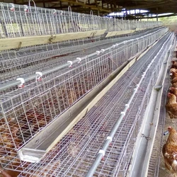 Electro Poultry Cages