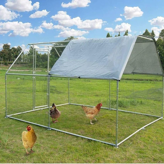 chicken-rearing-cage-2.webp