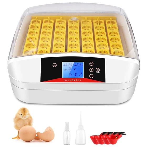 auto-egg-incubators-2.webp
