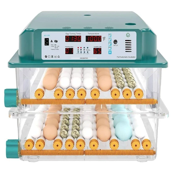 chicken-egg-incubators-1.webp
