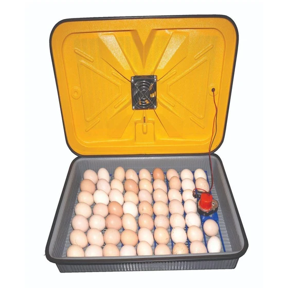 chicken-egg-incubators-2.webp