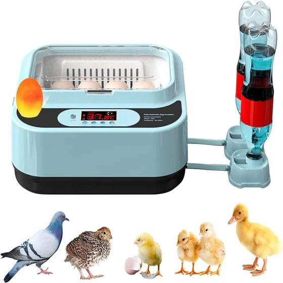 chicken-farm-egg-incubator-2.webp