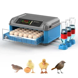 Chicken Farm Egg Incubator