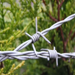 Barbed Wire Fence