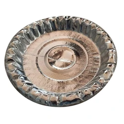 Silver Disposable Plate