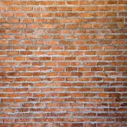 Red Exposed Brick