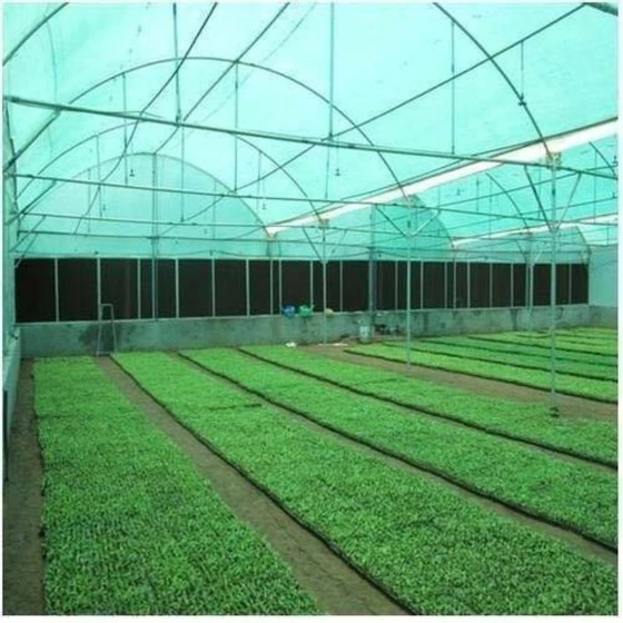 Argo Agriculture Crop Net Protector Total Security