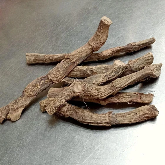 herbaveda-calamus-root-1.webp