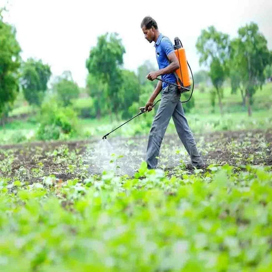 agro-chemical-2.webp