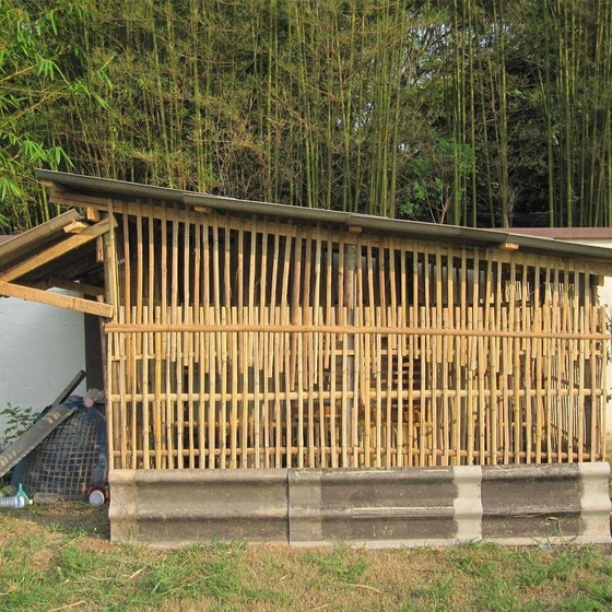poultry-bamboo-chick-2.webp