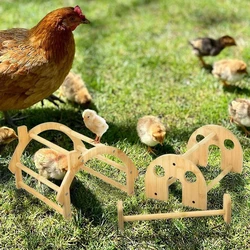Poultry Bamboo Chick