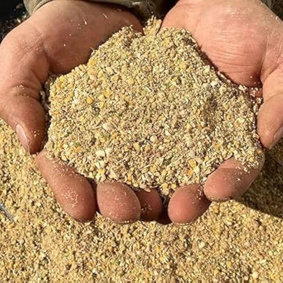 layer-poultry-feed-2.webp