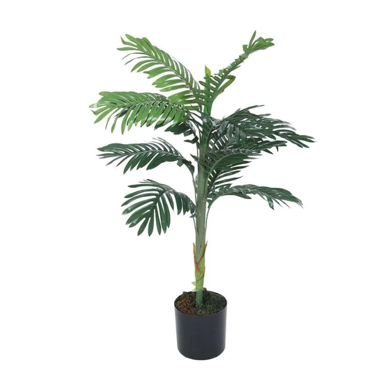 natural-areca-palm-2.webp
