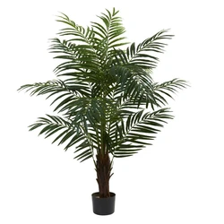 Natural Areca Palm