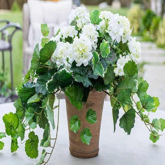 outdoor-flower-plants-2.webp