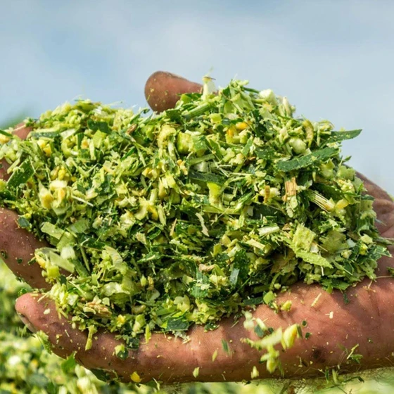 corn-silage-animal-feed-bale-2.webp