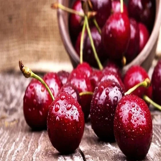 red-cherry-fruits-2.webp