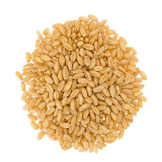 whole-wheat-grain-2.webp