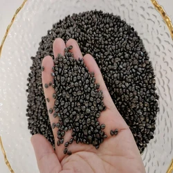 Master Black Batches