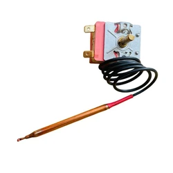Electric Thermal Switches